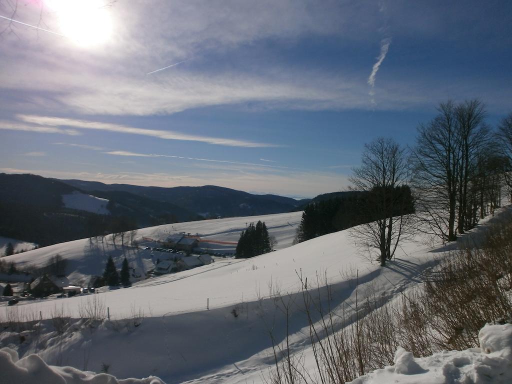 Bergseele Privat- & Retreathotel Schwarzwald トートナウベルク エクステリア 写真