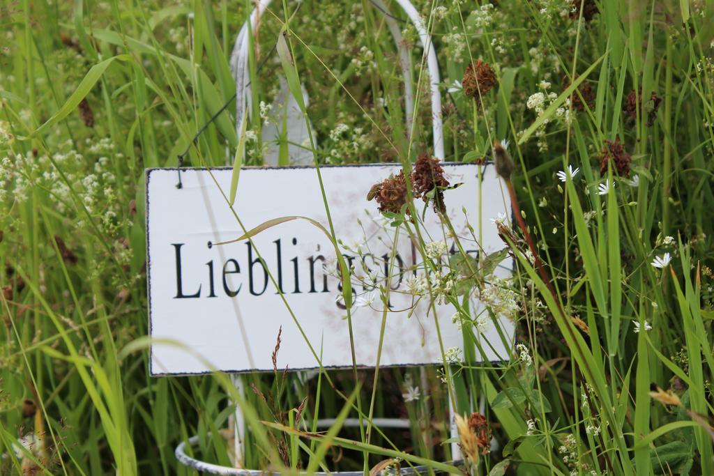 Bergseele Privat- & Retreathotel Schwarzwald トートナウベルク エクステリア 写真